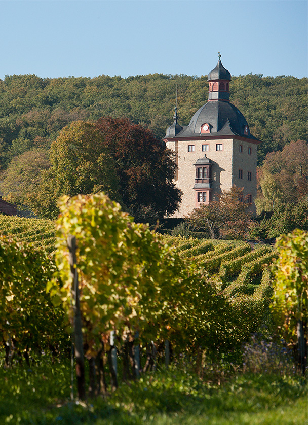 Schloss Vollrads Winery